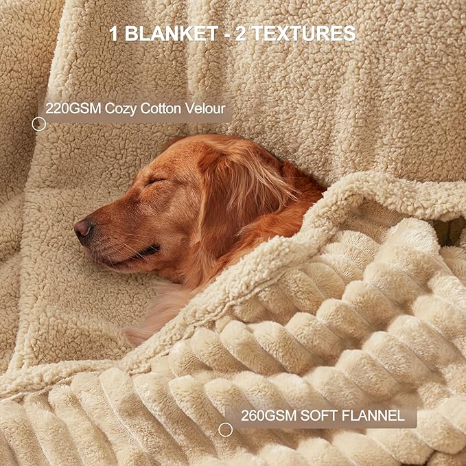 AIPERRO Waterproof Dog Blanket for Large Dogs, Washable Soft Puppy Cat Blanket Flannel Cotton Velour for Sofa Couch Protector, Comfort & Security Reversible Bed Protection for Pet, 50"X60", Khaki