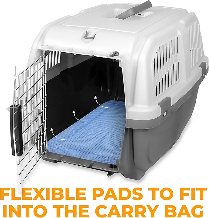 Skywin Pet Carrier Pads, 2 Pack Cat Carrier Pad Insert 19.5" x 12.5", Disposable Small Cat Carrier Liner Pad, Puppy Training Pads(Blue)