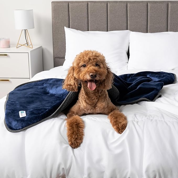 PetAmi Waterproof Dog Blanket Sherpa Fleece, Pet for Medium Large Dogs, Reversible Cat Throw Bed Couch Sofa Furniture Protector, Soft Plush Microfiber (X-Large 60x80, Blue/Gray), Navy/Gray