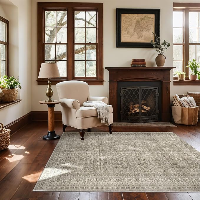 3x5 Washable Area Rugs for Entryway: Door Mat Indoor Entrance Throw Rug Stain Resistant Non Slip Low Pile Soft Carpet for Kitchen Front Door Indoor Entrance Entry Bedroom