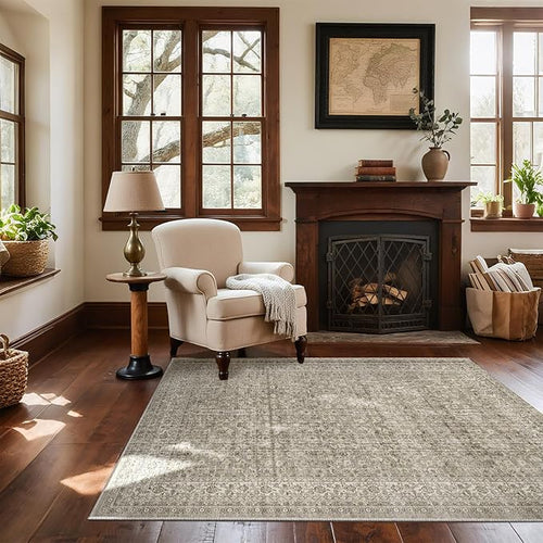 3x5 Washable Area Rugs for Entryway: Door Mat Indoor Entrance Throw Rug Stain Resistant Non Slip Low Pile Soft Carpet for Kitchen Front Door Indoor Entrance Entry Bedroom