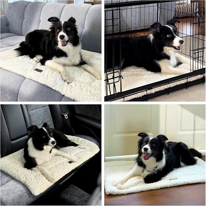 VERABE Fluffy Reversible Dog Bed Mat - Ultra Soft & Machine Washable Dog Crate Pad fit for Metal Kennel, Cozy Sleeping Mat, 41" x 27", Beige