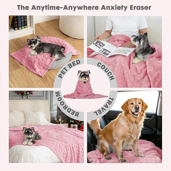 gogobunny Calming Plush Dog Cat Blanket 300GSM Coral Fleece, Ultra-Soft Machine Washable Pet Bedding for Small Medium Dogs Cats Puppies Kittens (Pink, 50x60)