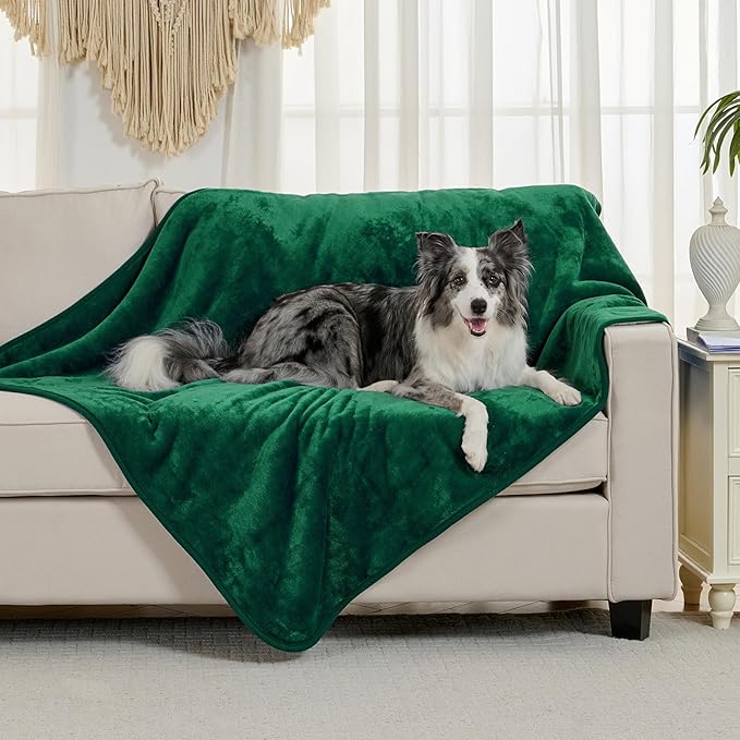Yaning Waterproof Blanket for Bed Couch Sofa, Soft Liquid Pee Proof Pet Blanket for Dog Puppy Cat, Reversible Sherpa Fleece Furniture Protector (Green, 60x80 inches)