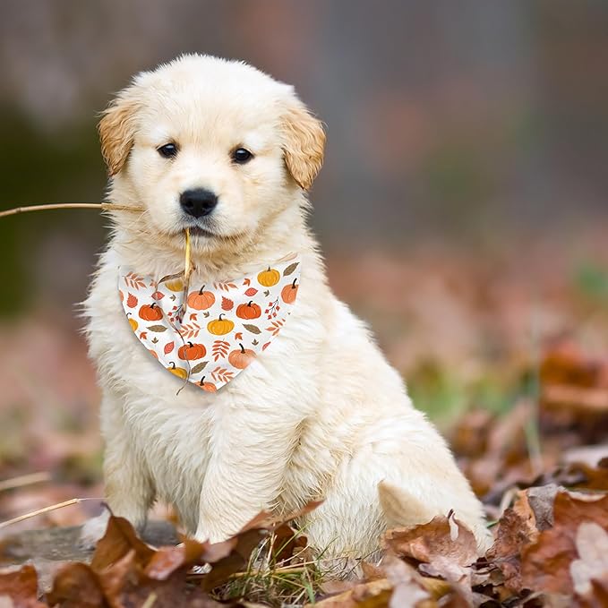 Fall Dog Bandana Reversible 2 Pack Small, Cute Autumn Pumpkin Leaves Fall Pet Bandanas Set Adjustable Triangle Holiday Scarves for Small Medium Boy Girl Dogs