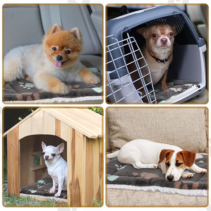 Tuanse 4 Pack Ultra Soft Dog Cat Bed Mat with Cute Prints Reversible Fleece Dog Crate Kennel Pad Cozy Washable Thickened Hamster Guinea Pig Pet Bed Mat for Small Animals(21 x 14 Inches,Black)