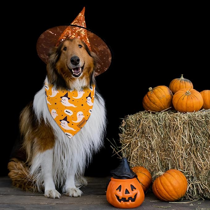 THLOH Halloween Dog Bandanas - 2 Pack Fall Dog Bibs | Reversible Pumpkin and Ghost Pet Scarf for Boys and Girls | Premium Durable Fabric | Boo Dog Bandana for Medium and Large Dogs (Large)