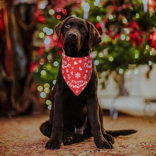 ADOGGYGO Dog Bandana Christmas Pet Scarf Bib Kerchief, Premium Durable Fabric, Multiple Sizes Offered, Red Green Christmas Bandanas Costumes for Medium Large Dogs Pets (Large)