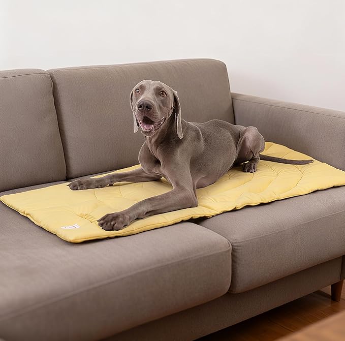 Travel Dog Bed | Camping Dog Bed | 37.4"x25.6" Waterproof Outdoor Dog Mat | Portable Place Mat for Dogs with Handle | Machine Washable | Easy Clean for Outdoor Adventures (Yellow)