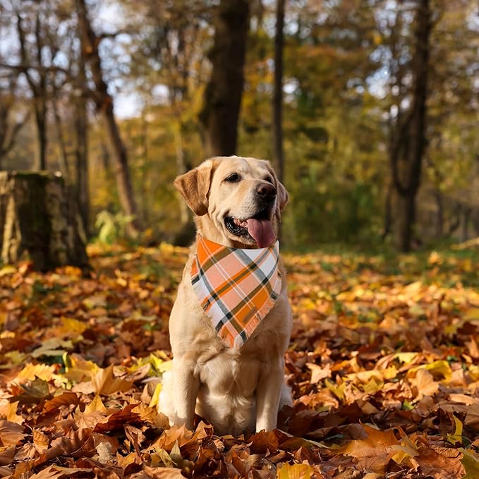 ADOGGYGO Fall Dog Bandanas, Halloween Thanksgiving Pet Bandana, Multiple Sizes Offered, Orange Plaid Fall Holiday Bandana for Extra Large Dogs Pets (X-Large)