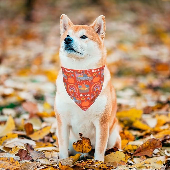 ADOGGYGO Thanksgiving Dog Bandana, Blue Orange Pumpkin Scarf, Adjustable Fit Fall Thanksgiving Bandanas for Medium Large Dogs Pets (Large)
