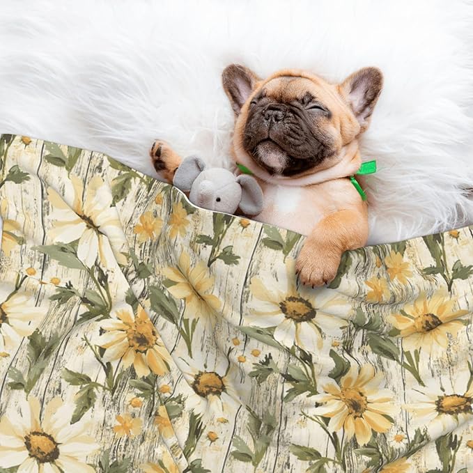 ENSFTF Pet Blanket,Warming Ultra Soft Warming Mat for Indoor Pet Beds & Furniture Reversible Blanket Machine Washable 27.6 * 19.7Inch,Woodgrain Daisy Pattern