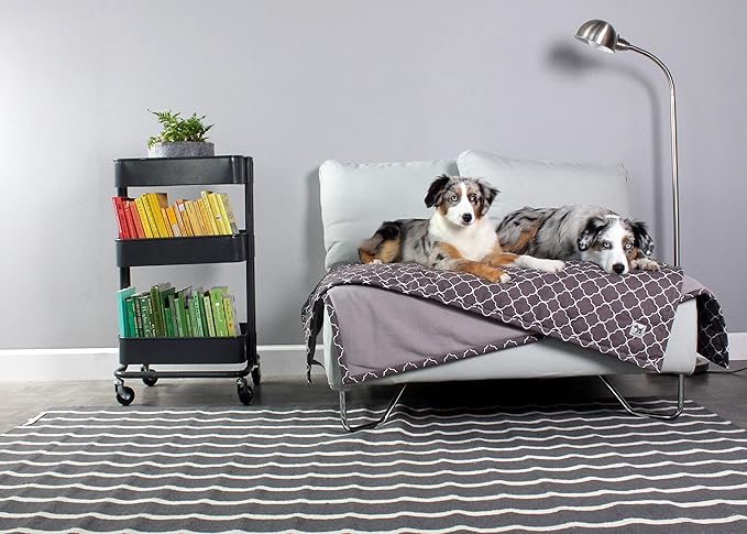 Molly Mutt Pet Blanket, 100% Cotton Canvas Top with Fleece Underside, Machine Washable, Durable and Comfortable, Ideal for Sofa, Couch, and Cars, No Harmful Chemicals, 48"x52"