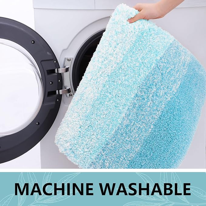 Arotive Microfiber Bathroom Rugs, Shaggy Soft and Absorbent Bath Rug, Non-Slip, Thick Plush Machine Washable Dry Bath Mats for Bathroom, Tub and Shower, 24x16, Sky Blue, Rectangular