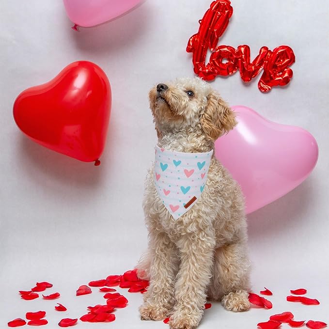 ADOGGYGO Valentine Dog Bandanas 2 Pack, Triangle Reversible Pink White Heart Dog Scarf, Premium Durable Fabric, Pet Valentine Bandana for Small Dogs (Small)
