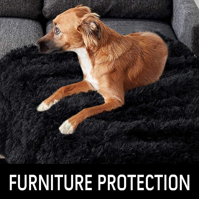 LOCHAS Luxury Fluffy Dog Blanket, Extra Soft and Warm Sherpa Fleece Pet Blankets for Dogs Cats, Plush Furry Faux Fur Puppy Throw Cover, 40''x60'' Black