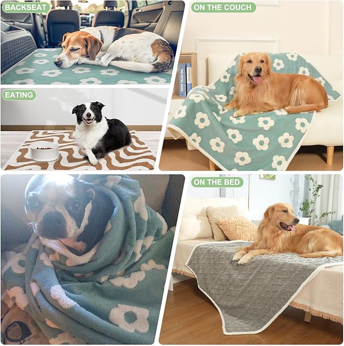 BEAUTYZOO Waterproof Dog Blankets for Large Dogs, Dog Blanket for Couch Sofa Bed, Super Soft Premium Coral Fleece Throw Cat Puppy Blanket, Reversible Furniture Protector, Washable Pet Blanket 40x60IN