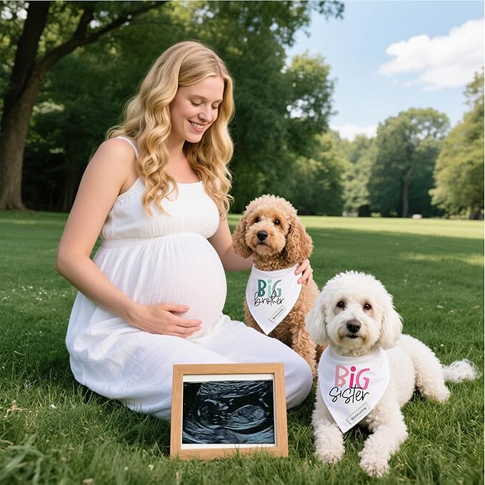 Realeaf Big Brother Big Sister Dog Bandanas Pet Scarf for Medium and Large Dogs New Baby Announcement Pet Accessories Pregnancy Reveal Ideas (X-Large)