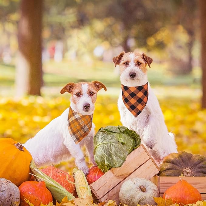 ADOGGYGO Fall Dog Bandanas 2 Pack, Halloween Thanksgiving Holiday Pet Scarf, Multiple Sizes Offered, Orange Plaid Fall Bandana for Small Dogs Cats Pets (Small)
