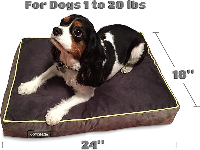 Better World Pets 5-inch Thick Orthopedic Dog Bed | Pure Premium Shredded Memory Foam Ideal for Aging Dogs | Waterproof Removable Washable Cover