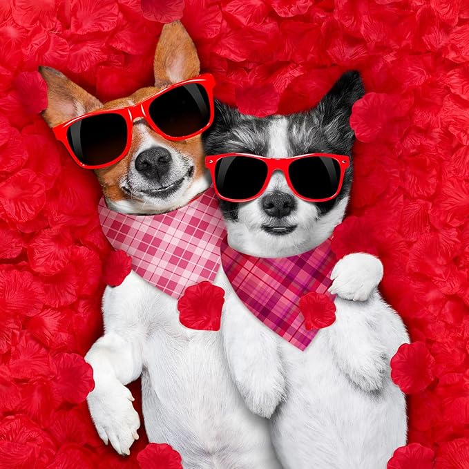Abbylike 50 Pcs Valentines Day Plaid Dog Bandanas Bulkpink Red Bandanas for Dogs Triangle Kerchief Bibs Scarf for Pet Romantic Costume Photo Props Accessories Pet Shops Groomers (25.6 x 17.7 x 17.7)