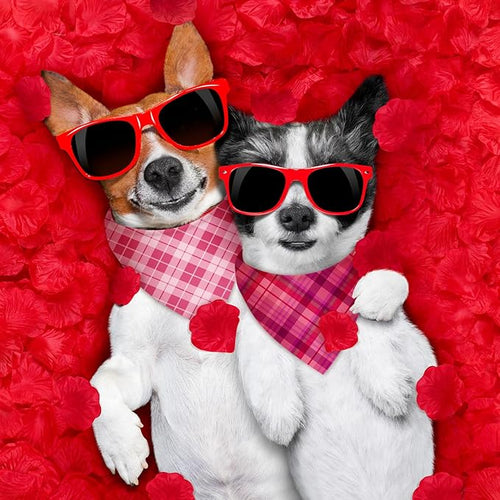 Abbylike 50 Pcs Valentines Day Plaid Dog Bandanas Bulkpink Red Bandanas for Dogs Triangle Kerchief Bibs Scarf for Pet Romantic Costume Photo Props Accessories Pet Shops Groomers (25.6 x 17.7 x 17.7)