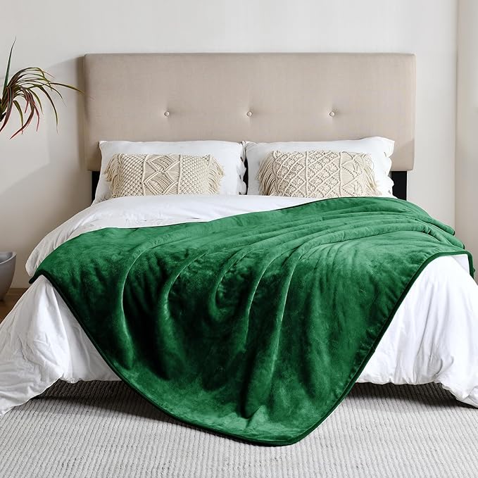 Yaning Waterproof Blanket for Bed Couch Sofa, Soft Liquid Pee Proof Pet Blanket for Dog Puppy Cat, Reversible Sherpa Fleece Furniture Protector (Green, 60x80 inches)
