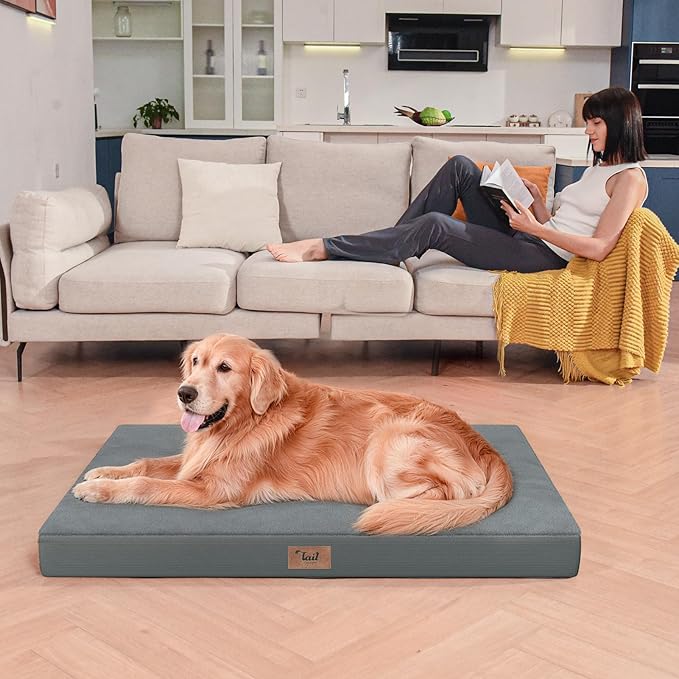 Tail Stories Orthopedic Dog Bed for Large Dogs, Plush Washable Pet Bed for Large Size Dogs with Egg Crate Foam & Removable Oxford Cover, 36x27 Inch, Gray