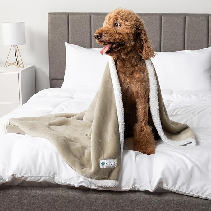 PetAmi Waterproof Dog Blanket for Medium Large Dog Puppy Cat Throw for Couch Cover Leakproof Protection, Sherpa Fleece, Reversible Soft Washable 60x40 Taupe