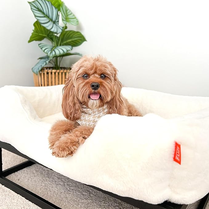 FUZI Elevated Dog Bed Large with Extra Cover, Luxury Raised Dog Beds, Removable and Machine Washable Bed Cover, Indoor/Outdoor Orthopedic Pet Bed, Large 35.6x28.5x18 Soft White and Black Base
