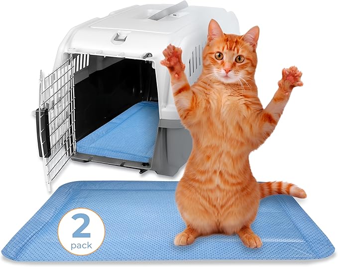 Skywin Pet Carrier Pads, 2 Pack Cat Carrier Pad Insert 19.5" x 12.5", Disposable Small Cat Carrier Liner Pad, Puppy Training Pads(Blue)