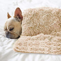 Petbuy Pet Dog Bed Blankets, Fluffy Fleece Dog Throw Blankets Sleep Mat,Soft Puppy Blankets Cat Kitten, S M L XL,Fuzzy Reversible Sherpa Blanket for Bed, Couch, Sofa, Travel,Washable & Lightweight