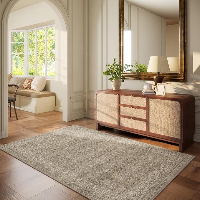 4x6 Washable Area Rugs for Entryway: Door Mat Indoor Entrance Throw Rug Non Slip Low Pile Kitchen Rug for Front Door Indoor Entrance Entry Kids Room