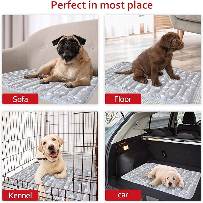 Dog Crate Mat (30" X 19") 2 Pack, Soft Dog Bed Mat with Cute Prints, Personalized Crate Pad, Anti-Slip Bottom, Machine Washable Kennel Pad, Grey