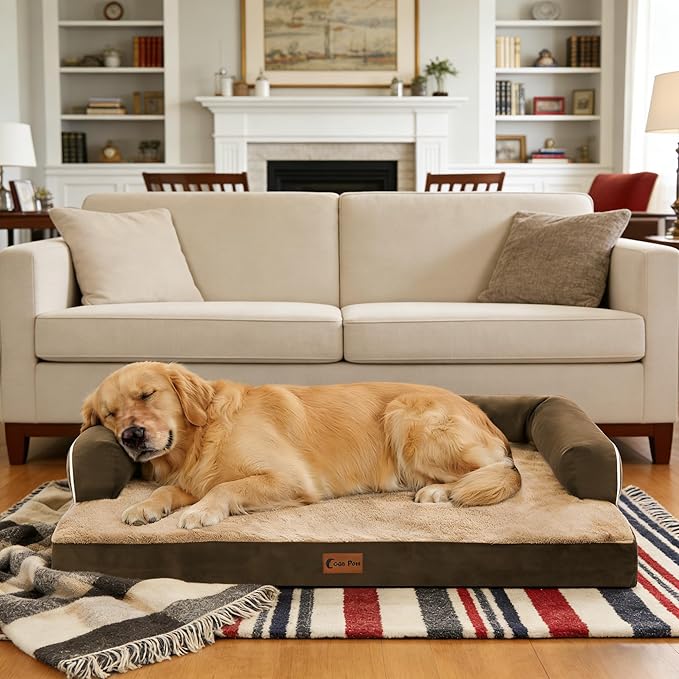 Casa Paw Orthopedic XXL Dog Beds, Waterproof Egg Crate Foam Big Pet Bed for All Breed Sized Dogs 53x42Inch, Washable Extra Large Dog Couch Bed with Removable Cover and Non-Slip Bottom, Brown