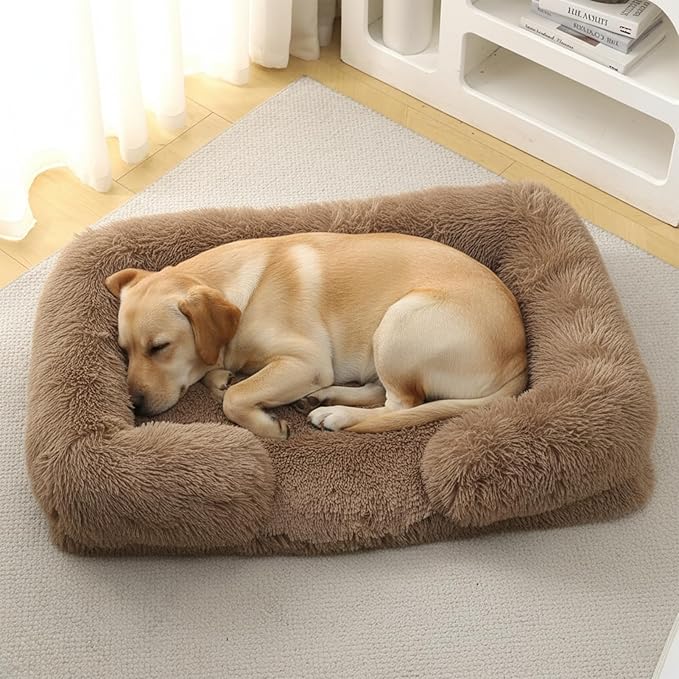 CareCooo Orthopedic Dog Bed for Medium Dogs - Washable Memory Foam Pet Sofa, Fluffy Plush Rectangular Bed, Waterproof Anti-Anxiety Couch, Khaki, M
