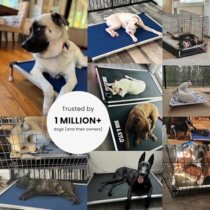 K9 Ballistics Chew Proof Elevated Outdoor Cooling Cot Bed for Medium Dogs - Virtually Indestructible, Preassembled, Withstands Aggressive Chewers - M, Ripstop Blue Quartz
