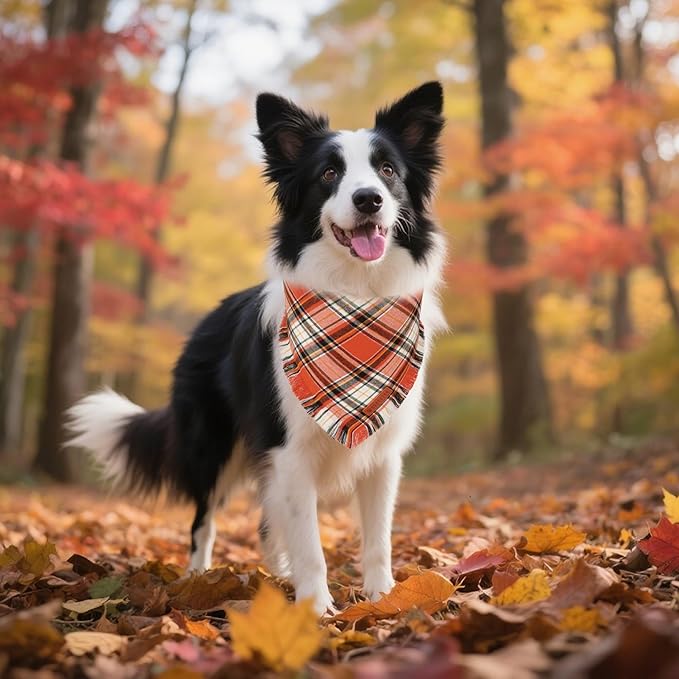 ADOGGYGO Fall Dog Bandana with Tassels Edges, Stylish Orange Plaid Pet Scarf, Multiple Size, Thanksgiving Halloween Fall Bandanas for Medium Large Dogs (Large)