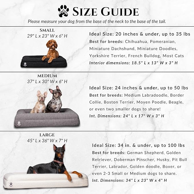 Wasatch Pup Luxury Boucle Fabric Orthopedic Large Dog Bed with Memory Foam | Breathable Comfort and Washable Dog Couch Bed with Waterproof Liner & Cover | Ideal Pet Beds for Big Dogs - Bone (45"x36x7)