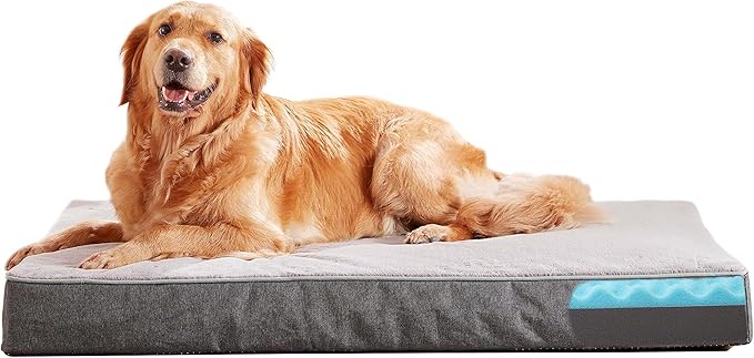 GOHOO PET Orthopedic Memory Foam Dog Bed, Cooling Dog Beds for Extra Large Dogs -Waterproof Pet Bed for Crate with Removable Washable Cover, XL(41inch,90Lbs)