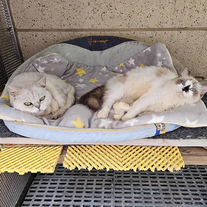 Self Warming Pet Pad, Heated Cat Bed for Indoor Cats & Small Dogs, Energy-Free Thermal Plush Pad with Gray Star Pattern, Orthopedic Soft Cushion for Arthritis, Winter Warm Bed (27.17x18.9 Inch)
