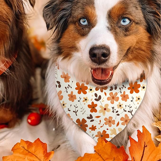 Fall Dog Bandana Reversible 2 Pack, Cute Autumn Pumpkin Floral Hedgehog Fall Pet Bandanas Set Adjustable Triangle Holiday Scarves for Medium Large Extra Large Boy Girl Dogs
