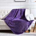 Yaning Waterproof Blanket for Bed Couch Sofa, Soft Liquid Pee Proof Pet Blanket for Dog Puppy Cat, Reversible Sherpa Fleece Furniture Protector (Dark Purple, 60x80 inches)