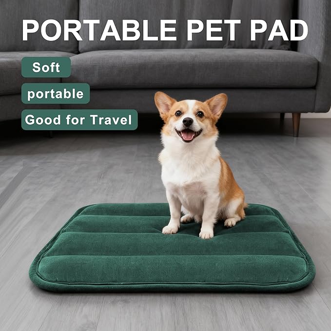 Fogkiss Dog Bed Mat, Reversible Dog Crate Pad with Washable Kennel Mat and Soft Foam, Flat Pet Bed for Dogs & Cats, for Crates Carriers & Travel (Green, 23" L*14" W*1.5" Th)