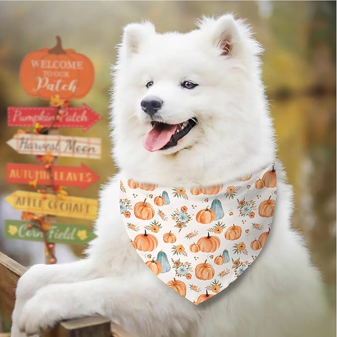 Fall Dog Bandana Reversible 2 Pack, Cute Autumn Pumpkin Floral Hedgehog Fall Pet Bandanas Set Adjustable Triangle Holiday Scarves for Medium Large Extra Large Boy Girl Dogs