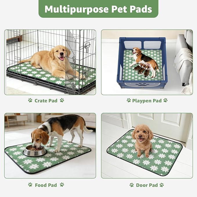 LOOBANI Extra Large Washable Puppy Pads: Non-Slip Pet Whelping Pad, Fast Absorbent Reusable Pee Pads for Dogs, Waterproof and Leakproof Dog Playpen Mat for Incontinence, Floor (72"x72",1 Pack)