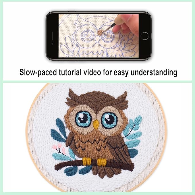 Myfelicity Punch Needle Embroidery Kit, Beginner Craft Set with Animal Pattern Design, 7.9 Inch Hoop (owl)