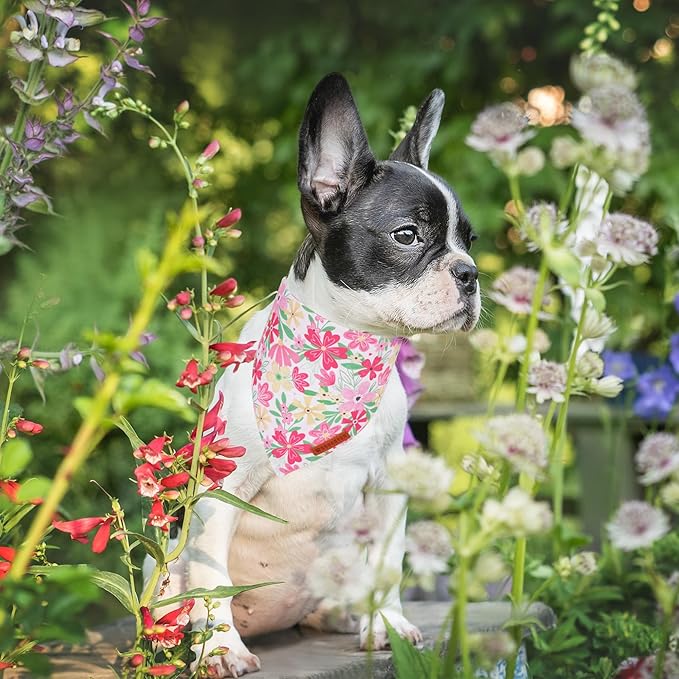 ADOGGYGO Floral Dog Bandanas 2 Pack, Triangle Reversible Pink White Flower Dog Scarf, Premium Durable Fabric, Pet Floral Bandanas for Small Dogs (Small)