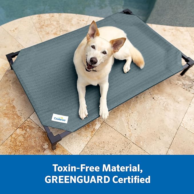 Coolaroo Pro Elevated Dog Bed with HeatShield Fabric – Advanced Cooling Raised Cot for Medium & Large Breeds, Easy-Clean, Low-to-Ground Access, Bonus Bolster Pillow – Everglade Green