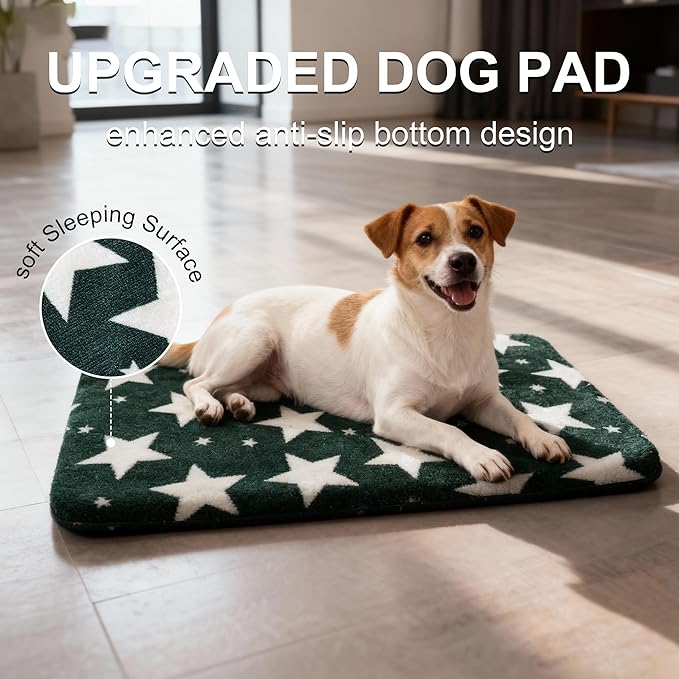 Wittop Washable Dog Bed Plush Orthopedic Outdoor Crate Mat with Non-Slip Bottom,Luxe Soft Kennel Pad for Pets, Cozy Cage Cushion & Pet Sleeping Mattress Large Sized,Medium,Small Dogs,30x20 inch,Green